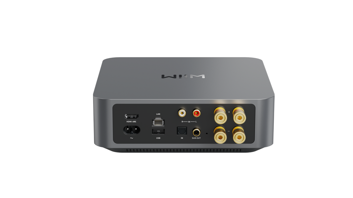 WiiM Amp Amplifier + Klipsch R-41M Speakers Package with 5 metres Classic 79 Strand