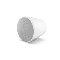 Bose Professional Designmax DM10P-SUB Pendant Subwoofer (Single) - White