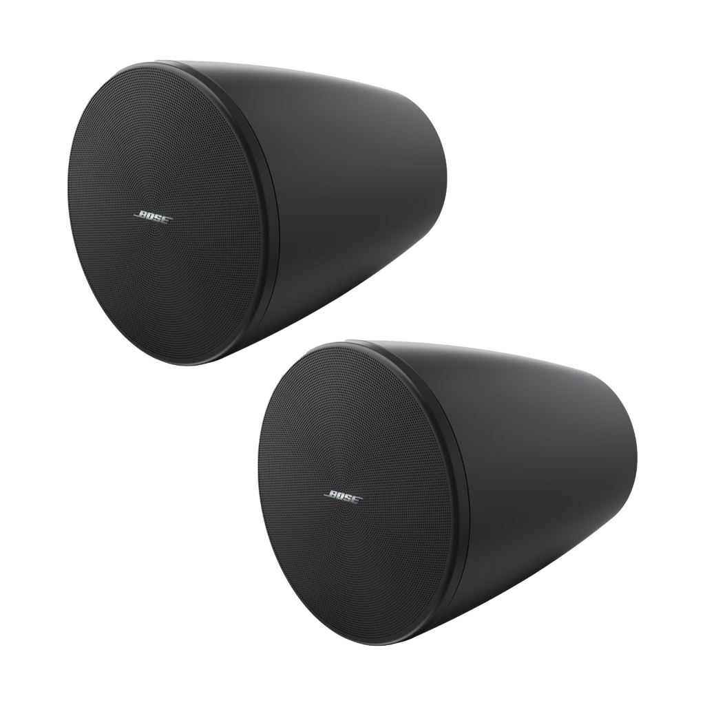 Bose Professional Designmax DM5P Pendant Loudspeakers (Pair) - Black