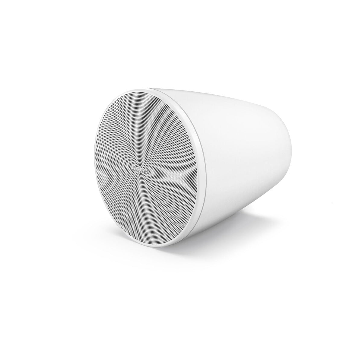 Bose Professional Designmax DM5P Pendant Loudspeakers (Pair) - White