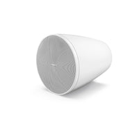 Bose Professional Designmax DM5P Pendant Loudspeakers (Pair) - Black
