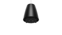 Bose Professional Designmax DM5P Pendant Loudspeakers (Pair) - Black