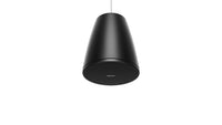 Bose Professional Designmax DM5P Pendant Loudspeakers (Pair) - Black