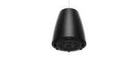 Bose Professional Designmax DM6PE Pendant Loudspeakers (Pair) - Black