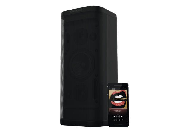 Reloop Groove Blaster BT - Portable Bluetooth Speaker with Smart Link
