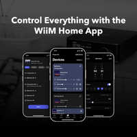 WiiM Amp Ultra - Silver