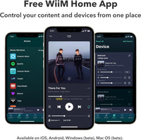 WiiM Ultra Music Streaming Network Player - Ultra Silver