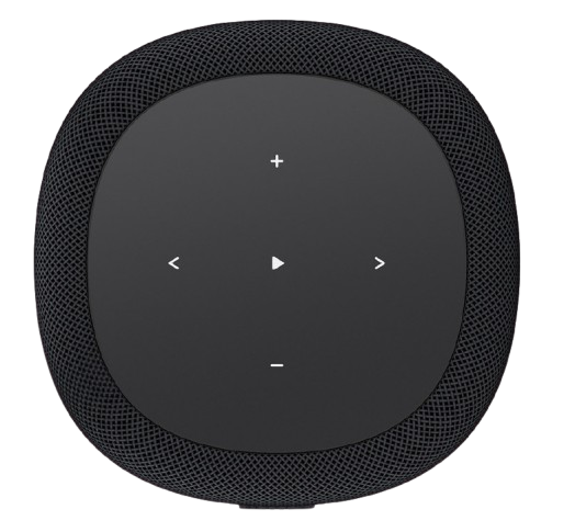 Wiim Sound Lite Multiroom Smart Wireless High-Fidelity Audio Speaker - Black