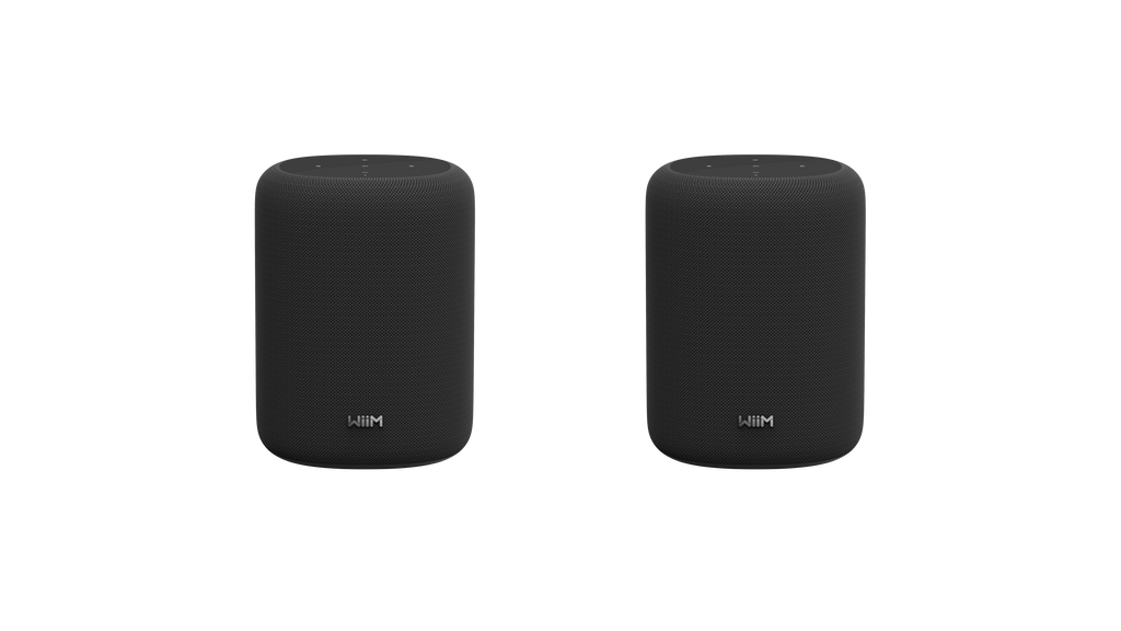 WiiM Sound Lite Twin Pack – Black