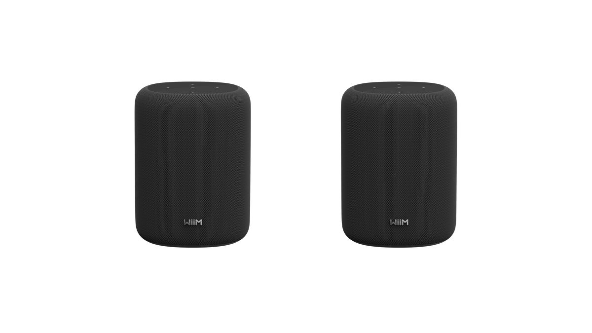 WiiM Sound Lite Twin Pack – Black