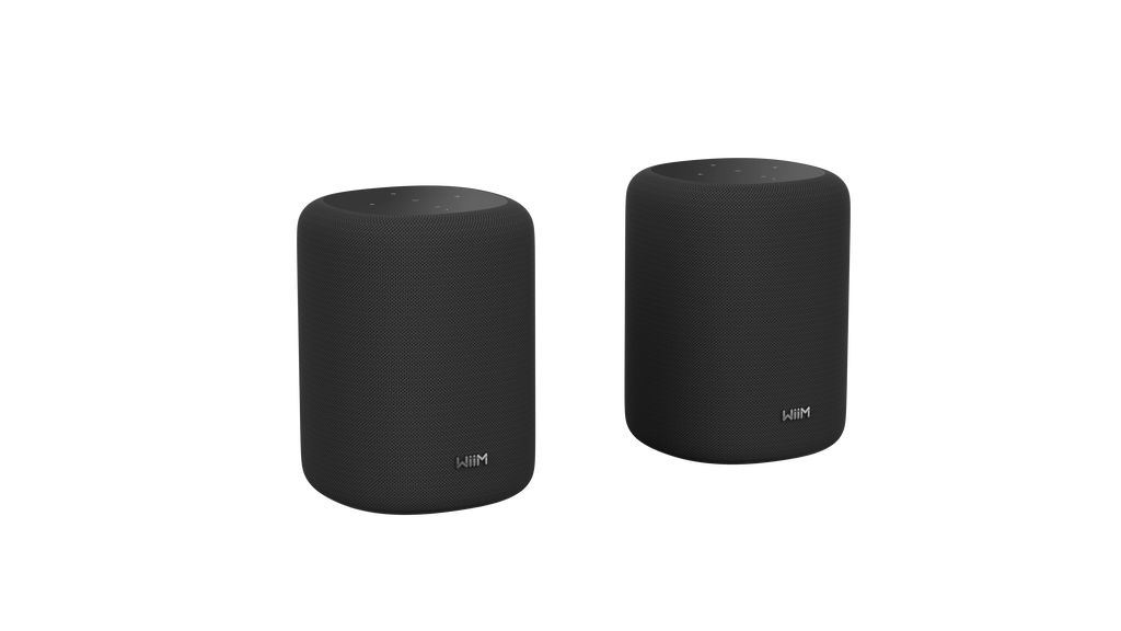 WiiM Sound Lite Twin Pack – Black
