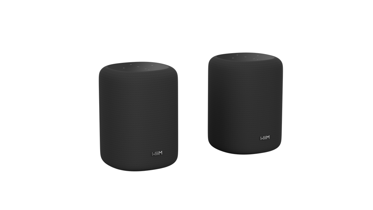 WiiM Sound Lite Twin Pack – Black