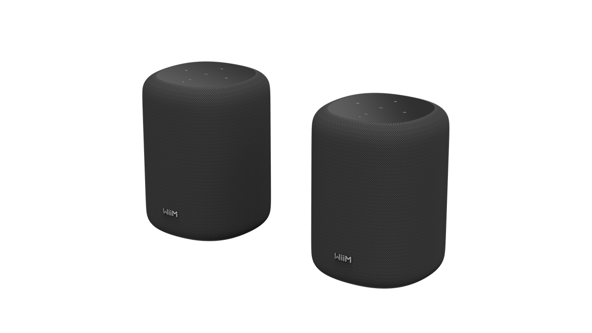 WiiM Sound Lite Twin Pack – Black