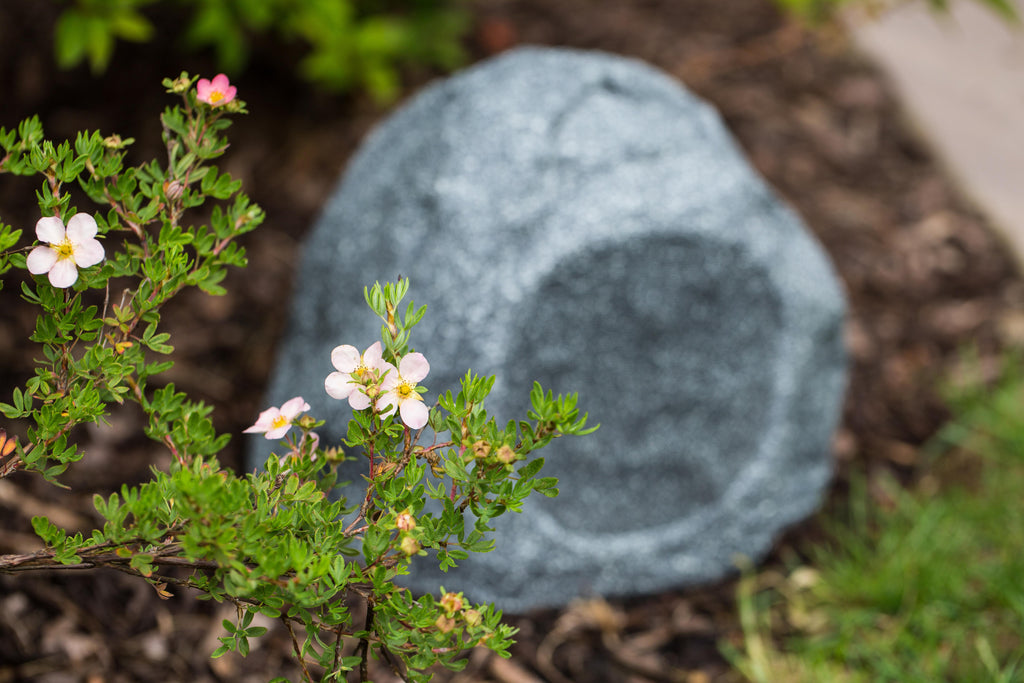 Q Acoustics QI65 On-Ground Indoor/Outdoor Rock Speaker