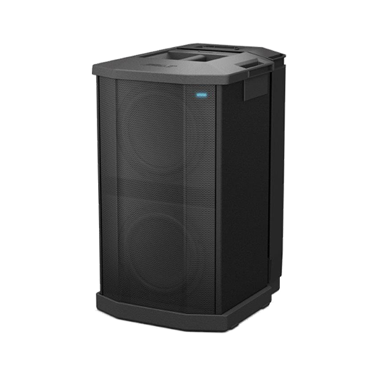 Bose F1 Subwoofer