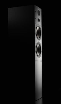 Dali Callisto 6 C Floor Standing Speakers
