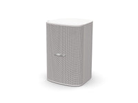 Bose Professional Designmax DM5SE On Wall Loudspeakers (Pair) - White