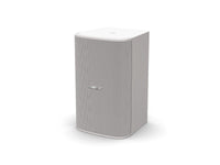 Bose Professional Designmax DM10S-SUB On Wall Loudspeakers (Single) - Black