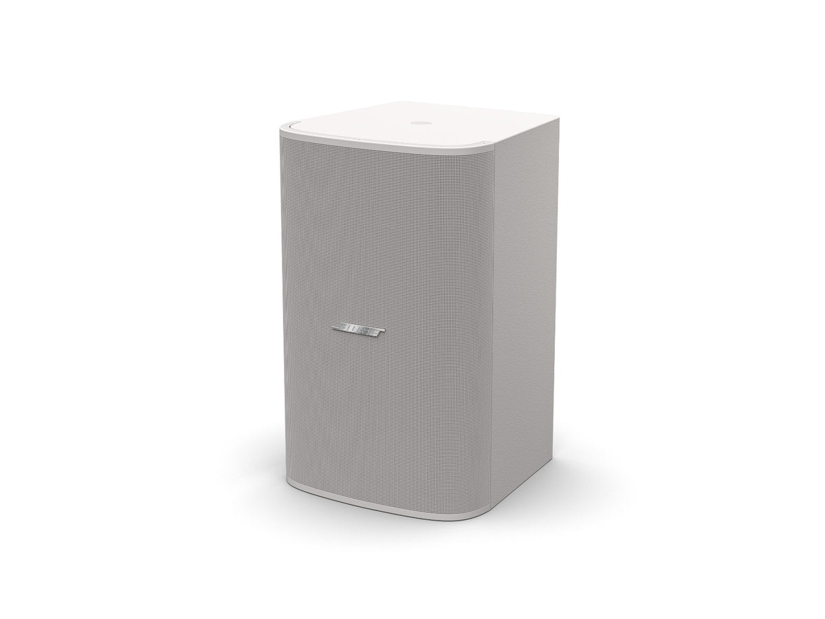 Bose Professional Designmax DM10S-SUB On Wall Loudspeakers (Single) - Black