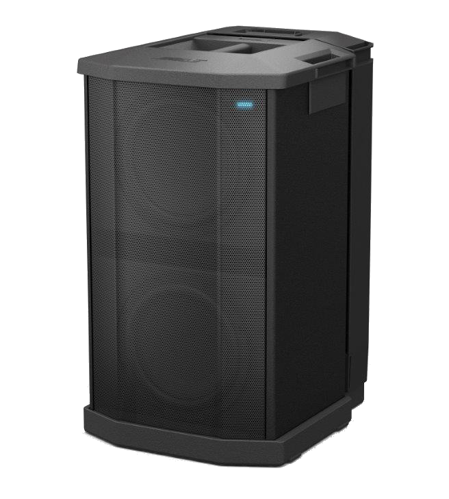 Bose F1 Model 812 Array Speaker and F1 Sub Stereo System