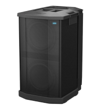 Bose F1 Model 812 Array Speaker and F1 Sub Stereo System