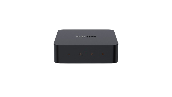 Wiim Pro Plus Wireless Music Streamer