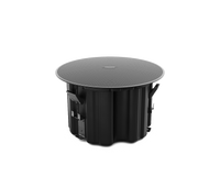 Bose Professional Designmax DM8C-SUB Ceiling Subwoofer (Single) - Black
