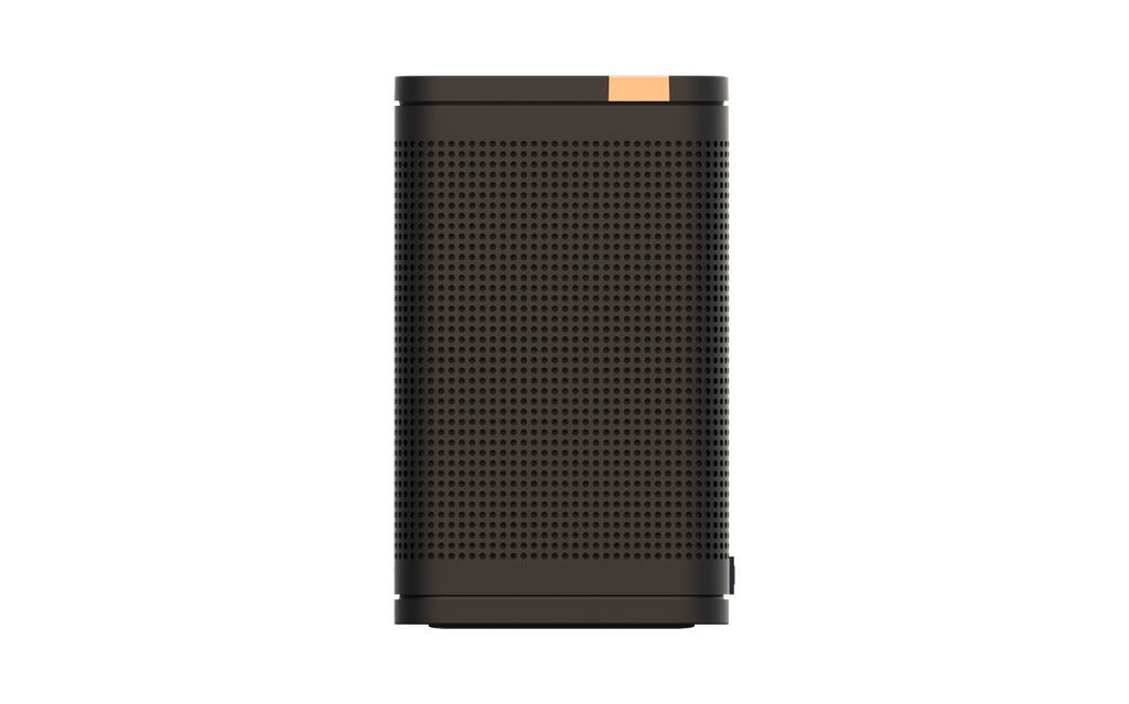 ELAC NAVA 100 Portable Bluetooth Speaker - Black