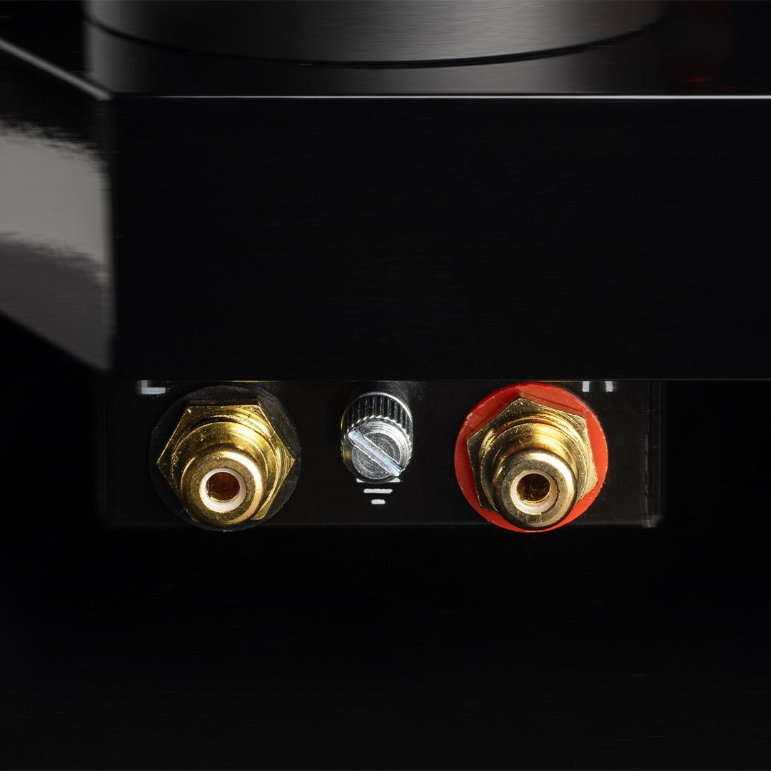 Pro-Ject AC/DC Turntable