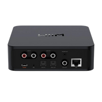 Wiim Pro Plus Wireless Music Streamer