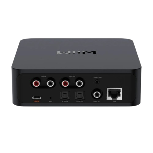 Wiim Pro Plus Wireless Music Streamer