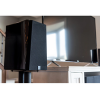 SVS Prime Bookshelf Speakers - Black Ash