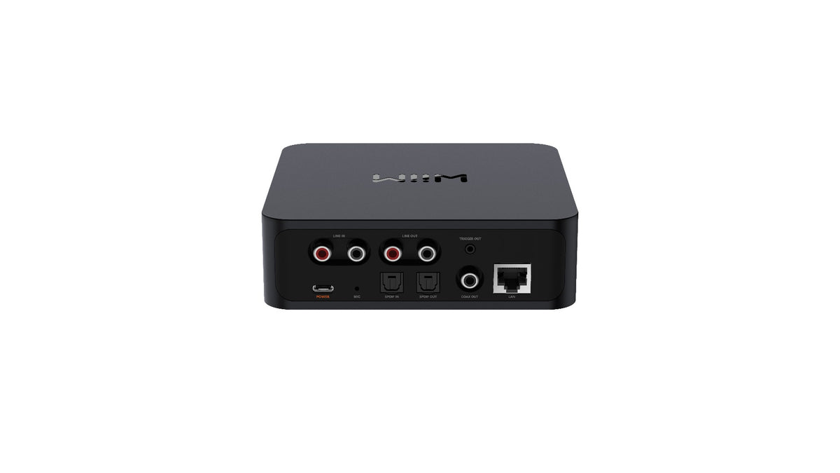 Wiim Pro Wireless Music Streamer