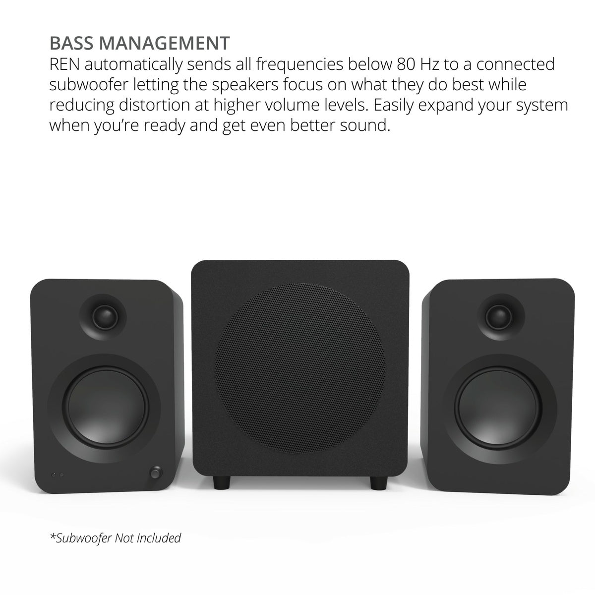 Kanto REN 200W Powered Bookshelf Speakers with HDMI ARC (Matte Black)
