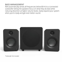 Kanto REN 200W Powered Bookshelf Speakers with HDMI ARC (Matte Black)
