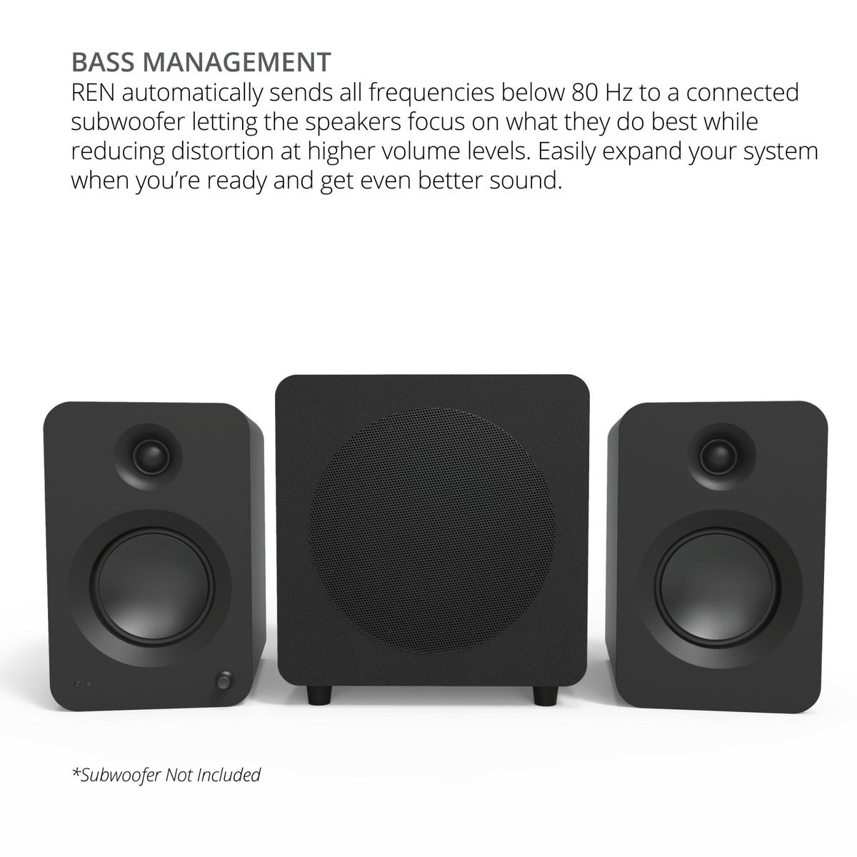 Kanto REN 200W Powered Bookshelf Speakers with HDMI ARC (Matte Grey)