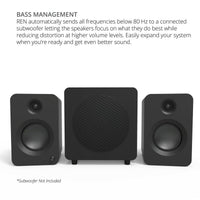 Kanto REN 200W Powered Bookshelf Speakers with HDMI ARC (Matte Grey)