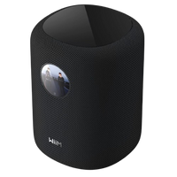Wiim Sound Multiroom Smart Wireless High-Fidelity Audio Speaker - Black