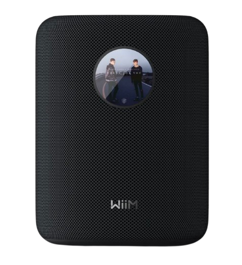 Wiim Sound Multiroom Smart Wireless High-Fidelity Audio Speaker - Black