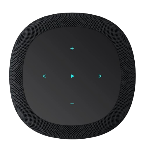 Wiim Sound Multiroom Smart Wireless High-Fidelity Audio Speaker - Black