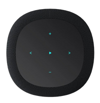 Wiim Sound Multiroom Smart Wireless High-Fidelity Audio Speaker - Black