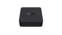 Wiim Pro Plus Wireless Music Streamer