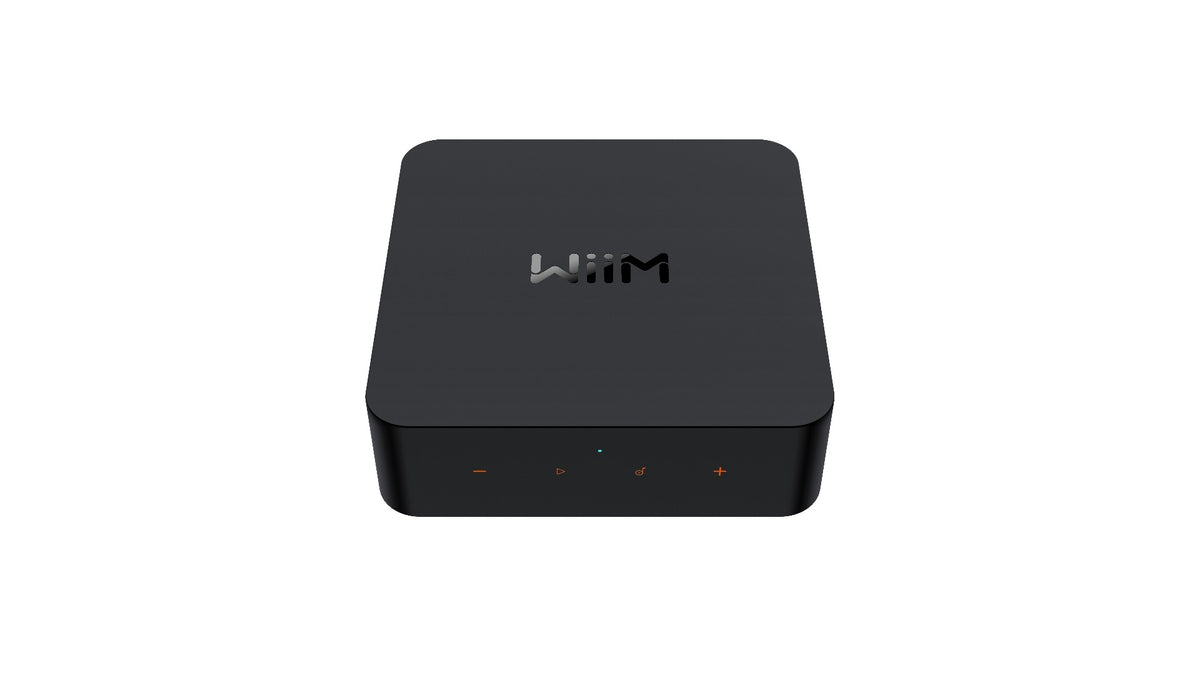 Wiim Pro Plus Wireless Music Streamer